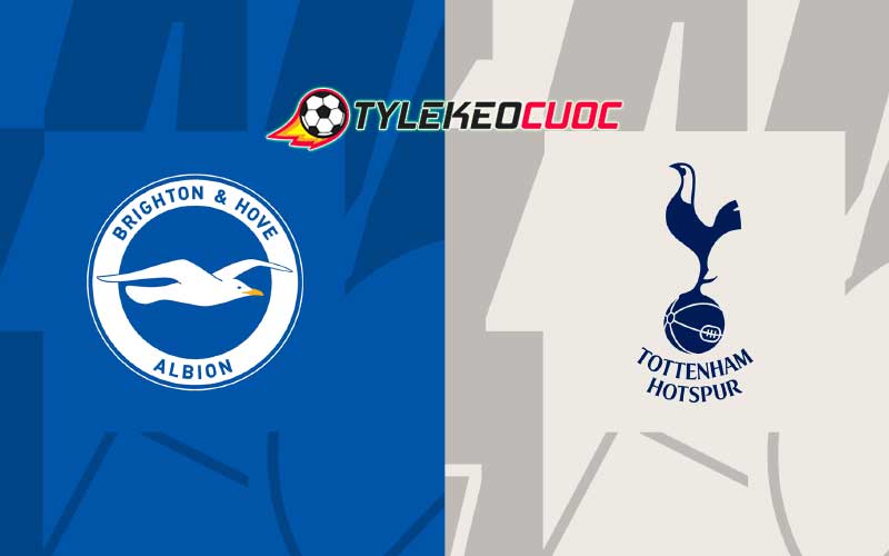 Soi kèo tài xỉu Brighton vs Tottenham 02h30 29/12/2023