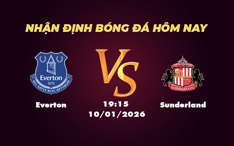everton sunderland 10 01 cup fa