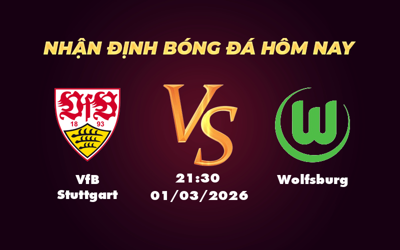 vfb stuttgart wolfsburg 01 03 bundesliga